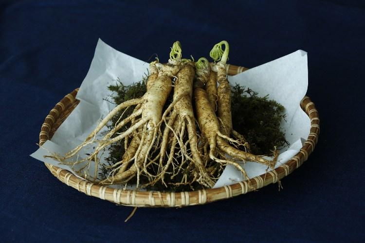 drhohmuth-urologe.de - studie zu ginseng